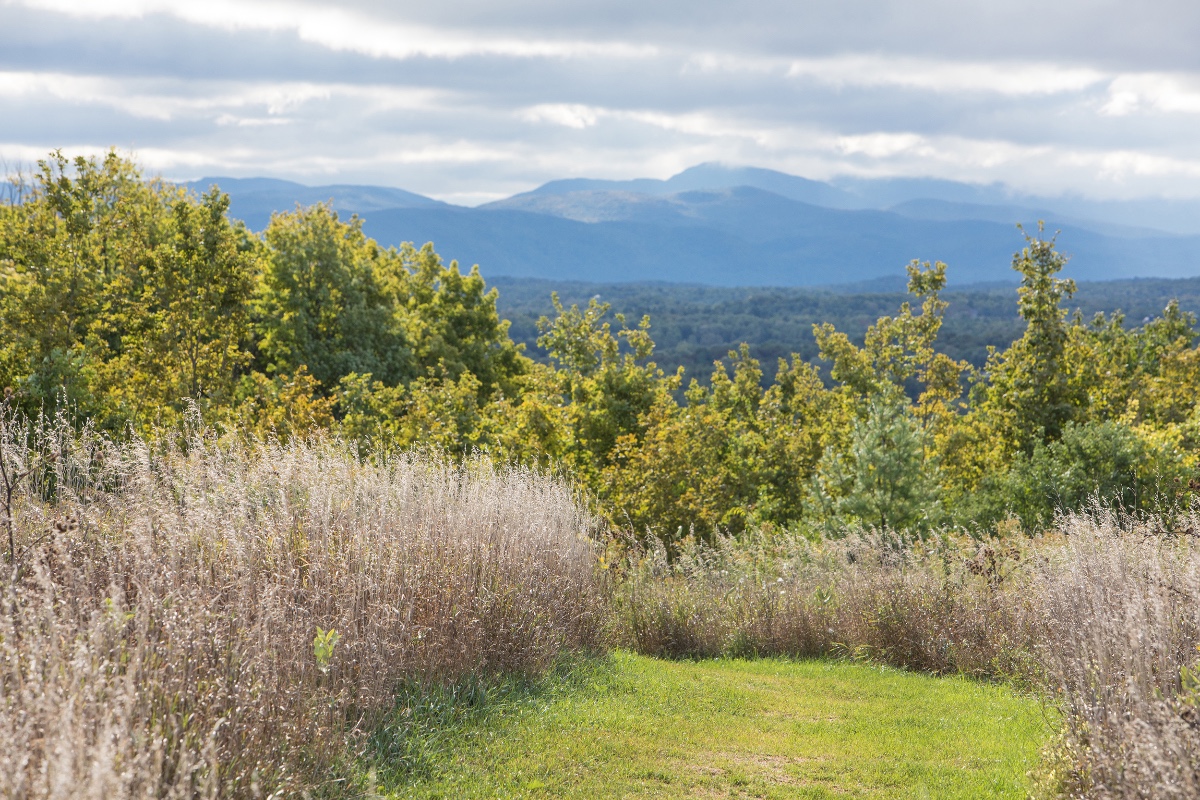 Vermont engagement photos