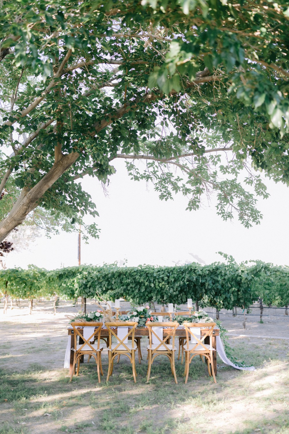 winery-in-the-las-vegas-desert-wedding-i