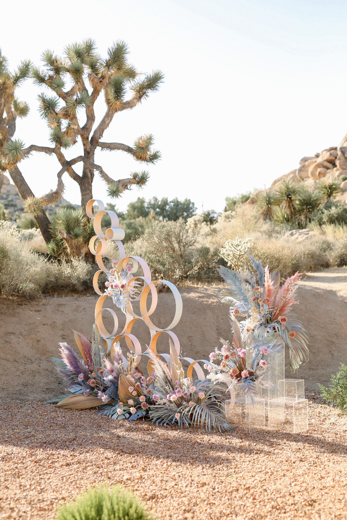 Iridescent  Dreams Surprise Wedding in Joshua Tree