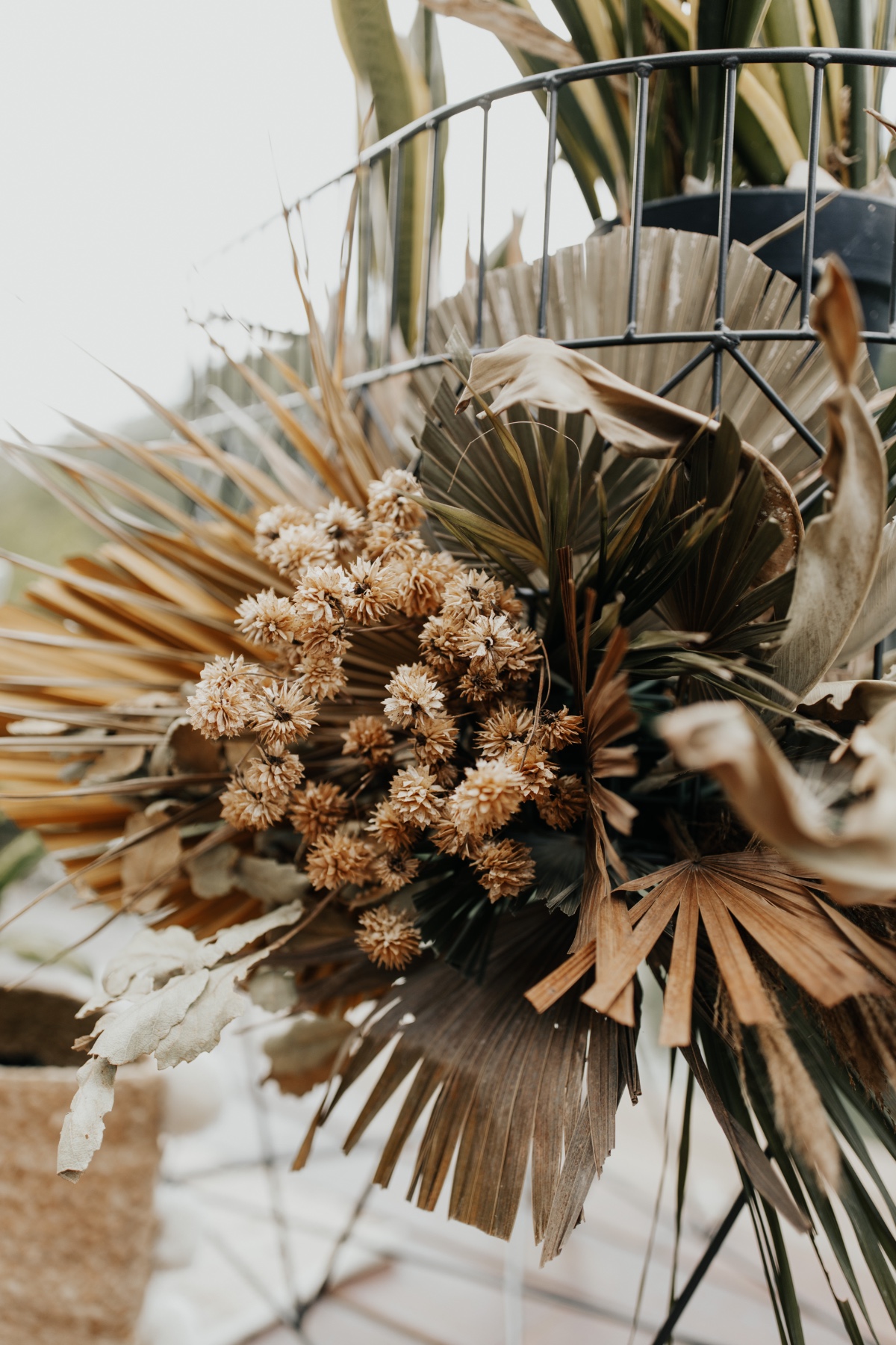 banyan-tree-styled-shoot-206