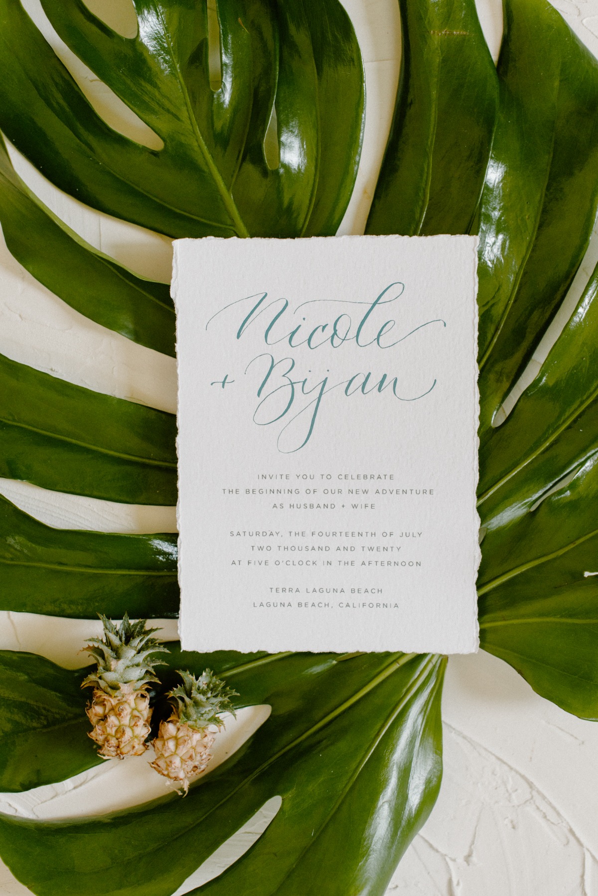 Neutral Coconut & Pineapple Tropical Shoot in Laguna Beach