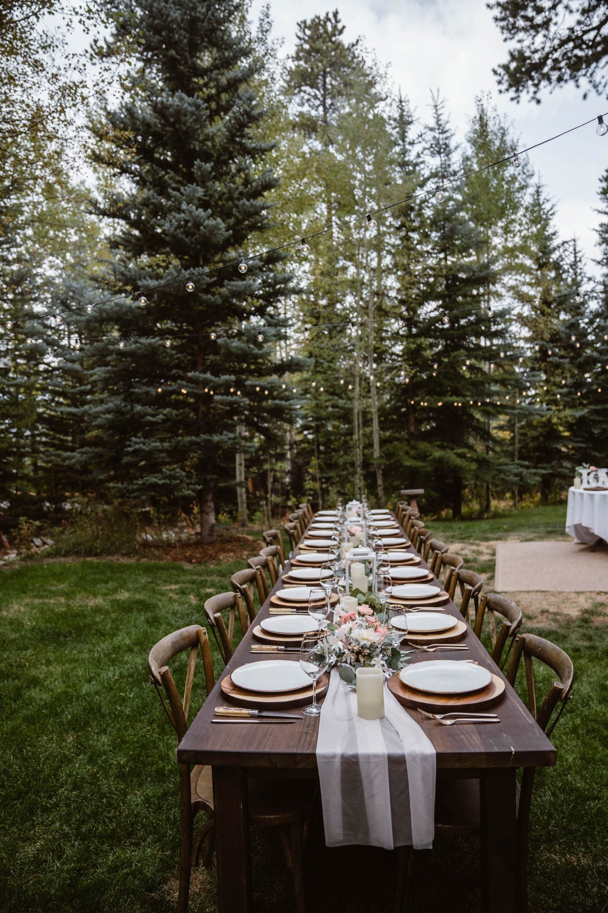 A Small Family Elopement in the Woods