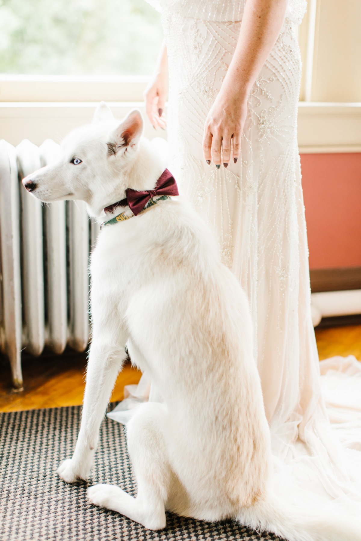 a-pilots-wedding-in-an-airplane-hangar-p