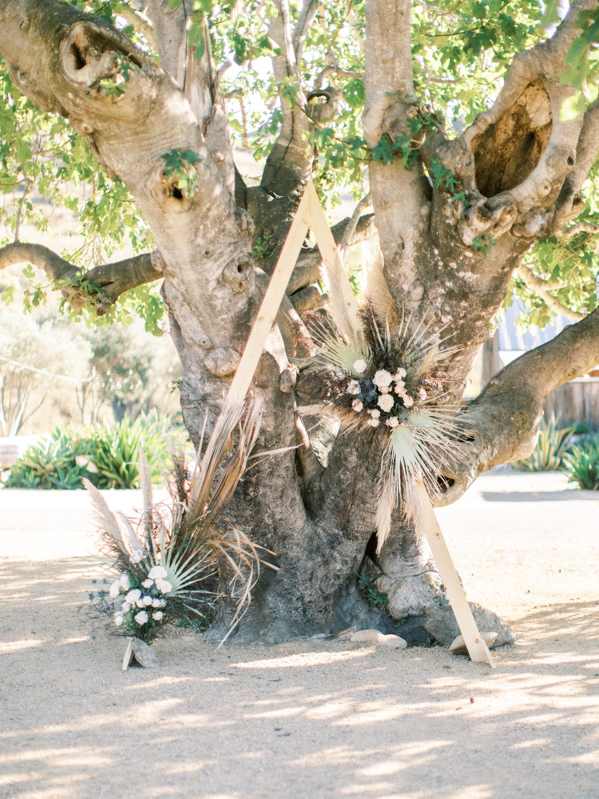 higuera-ranch-wedding-san-luis-obispo-ca