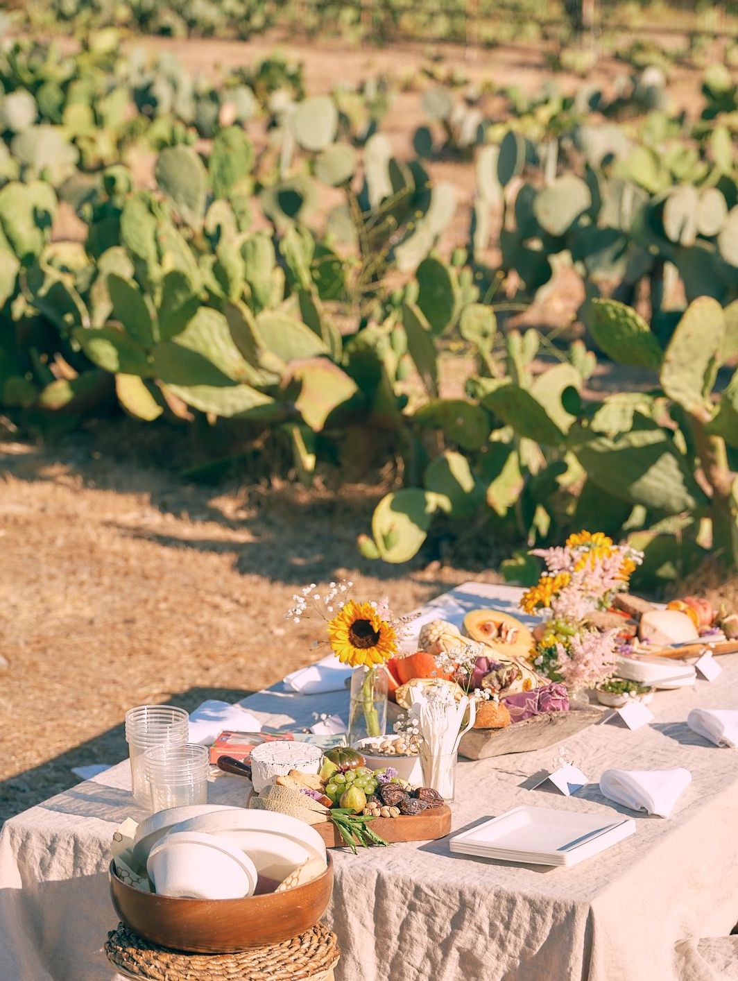 Sustainable Wedding Ideas