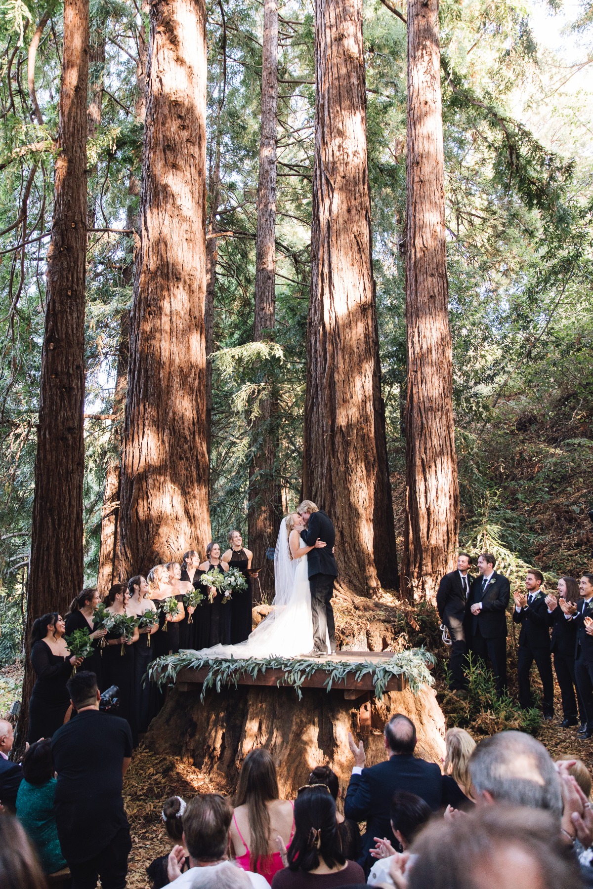 coastal redwood wedding