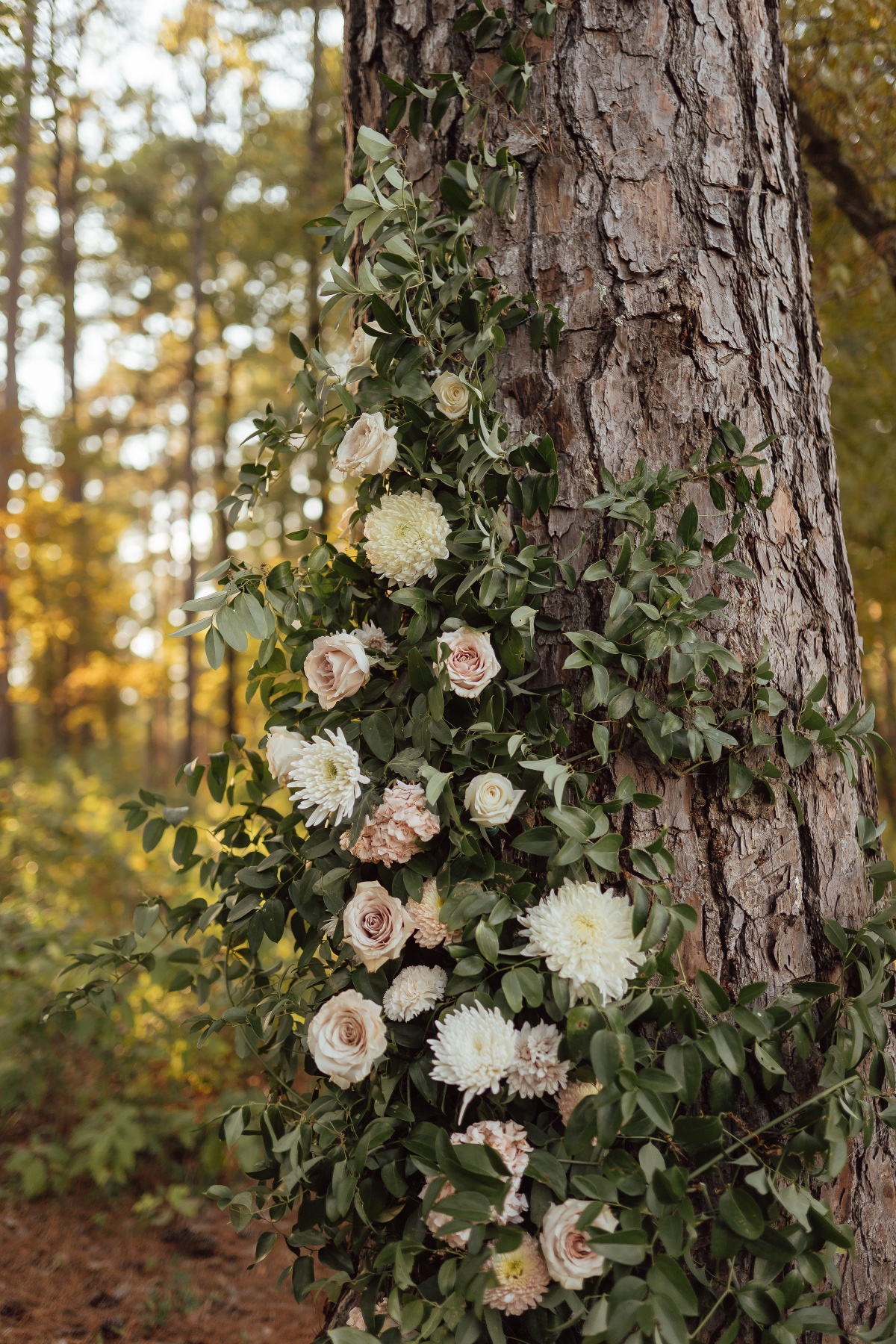 roses growing on trees