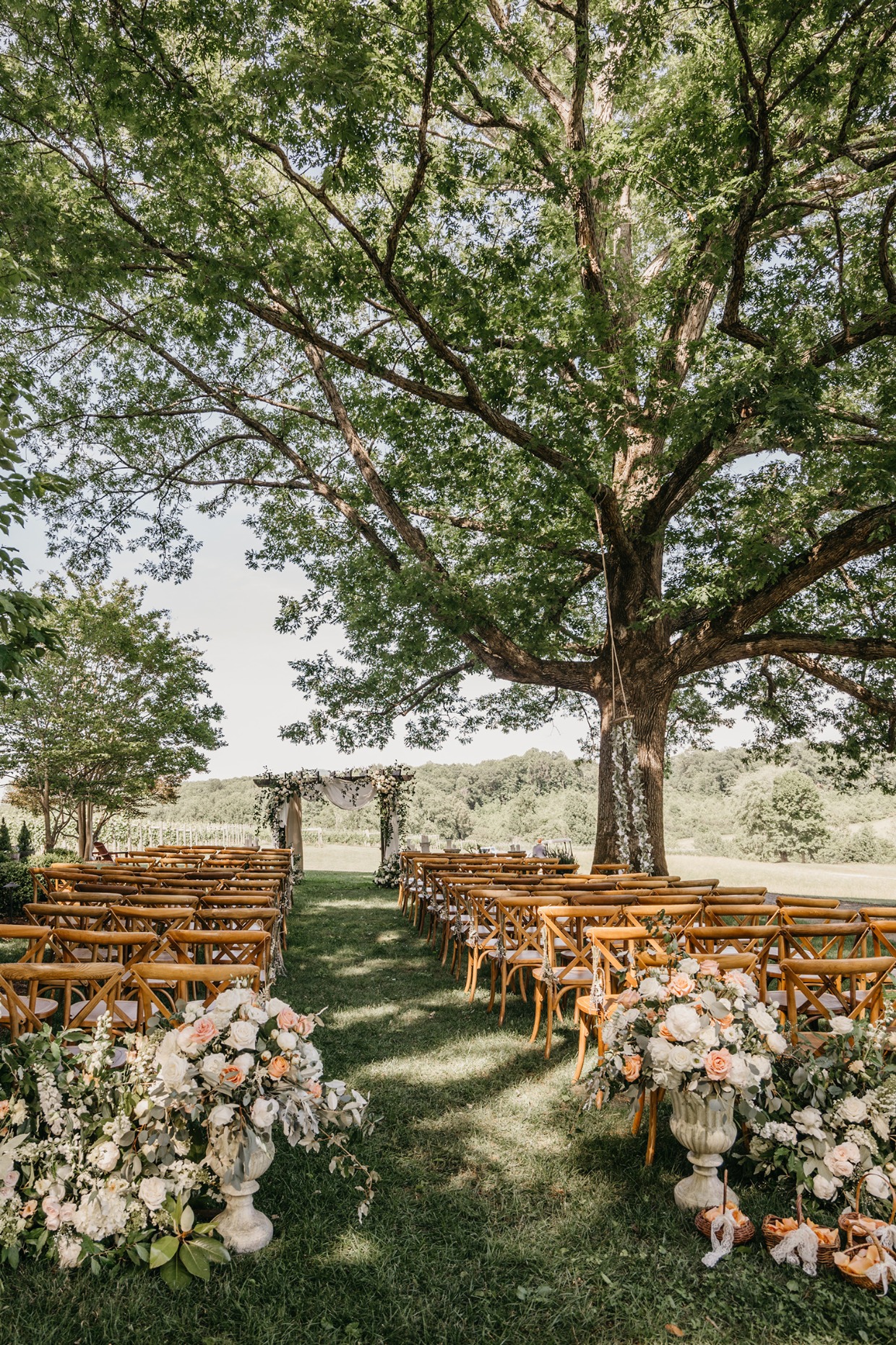 beautiful vineyard wedding venue