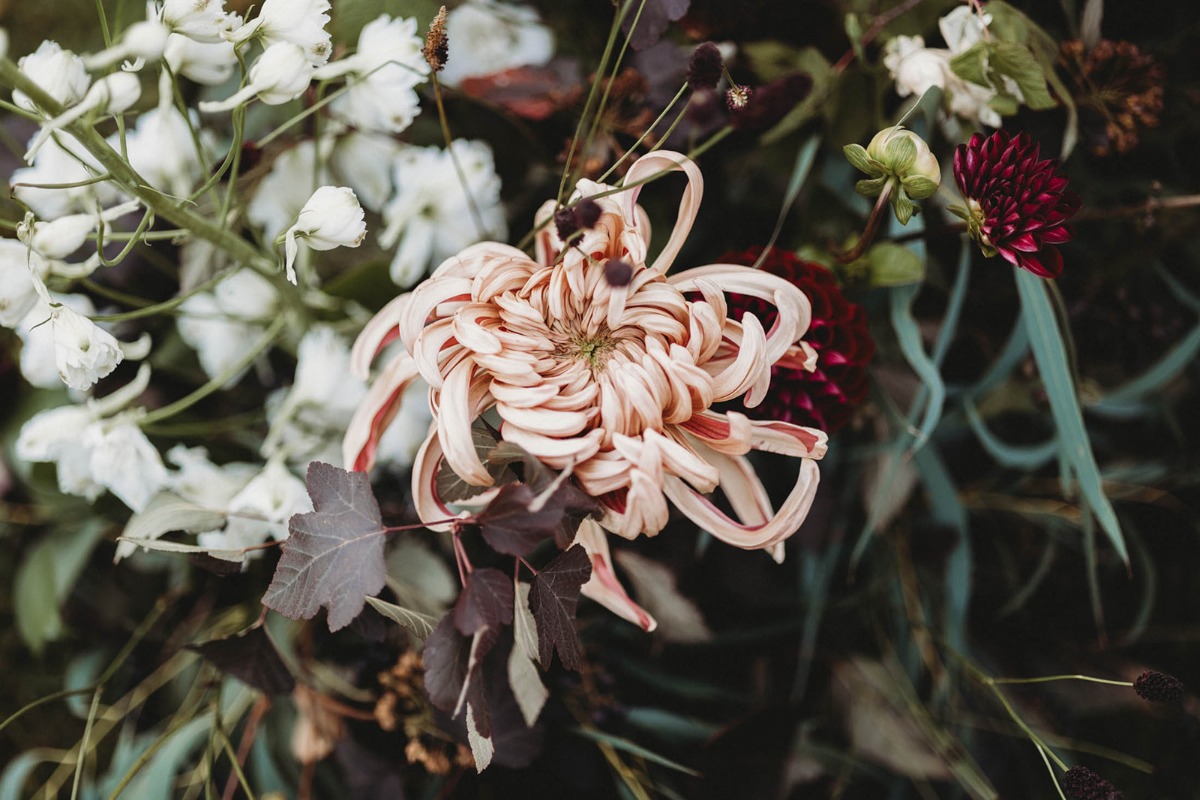 kimberly-archambault-photography-halloween-inspired-wedding-at-an-elderberry-farm-in-quebec-4