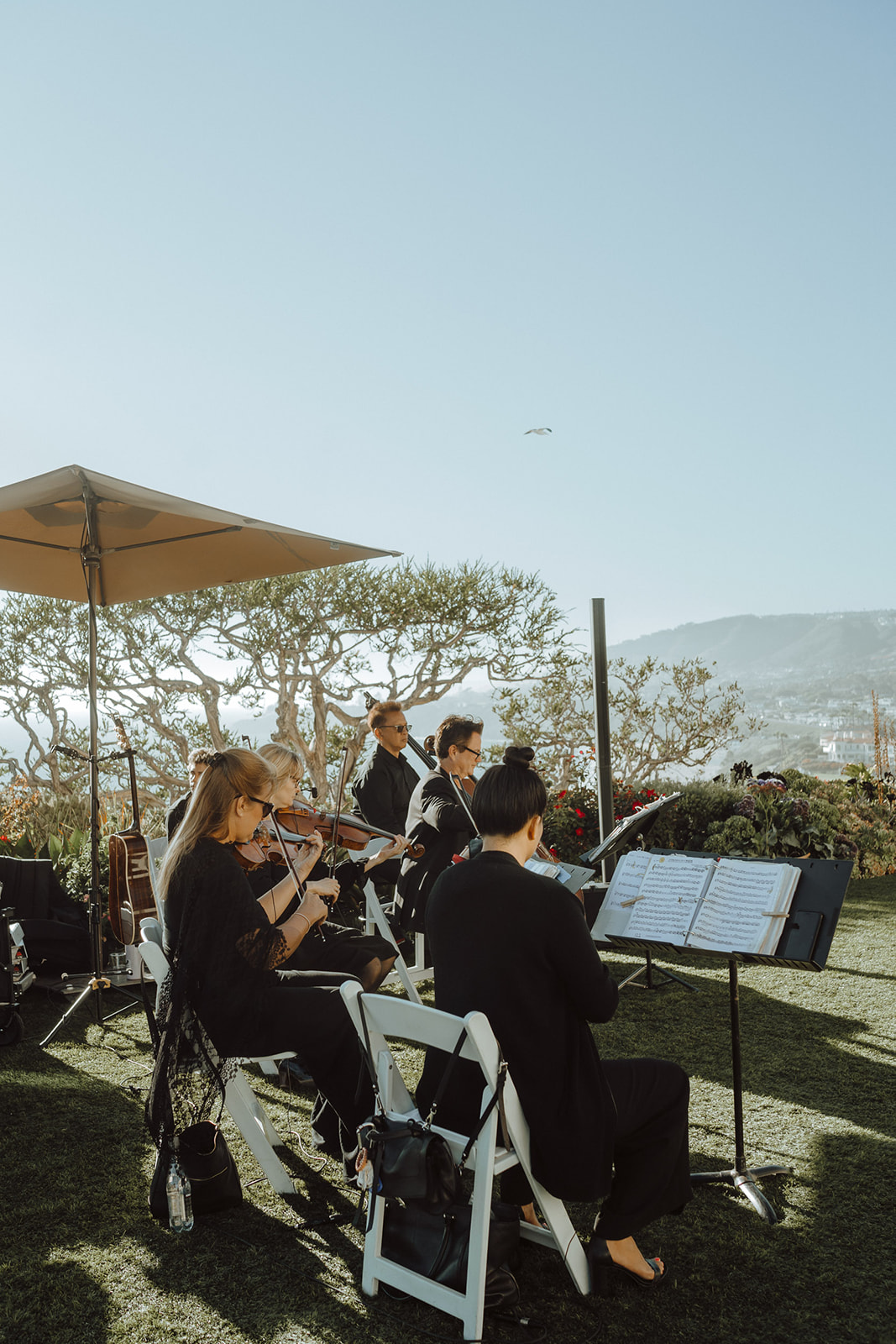 string quartet for wedding