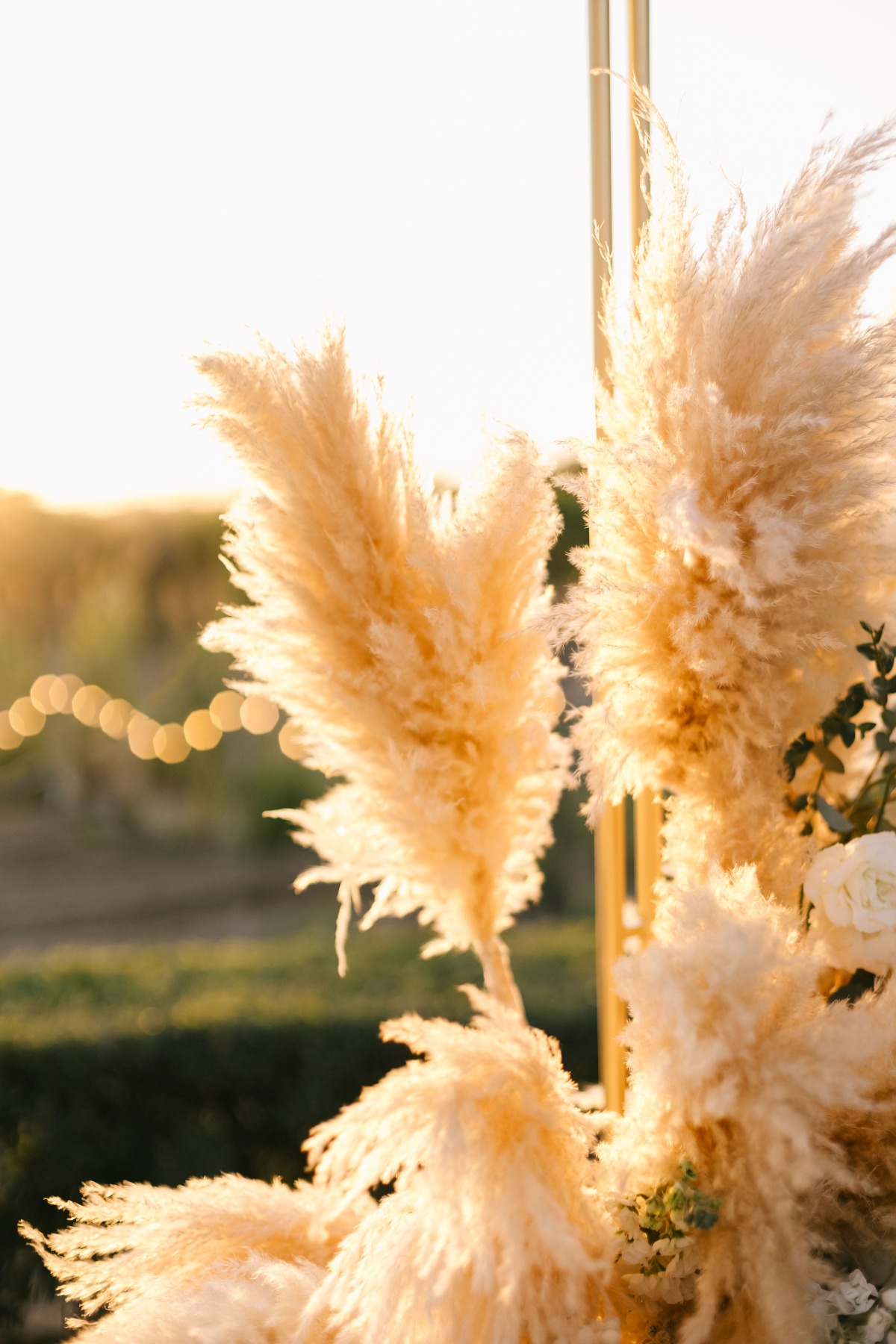 Dreamy dried pampas grass floral arrangements 