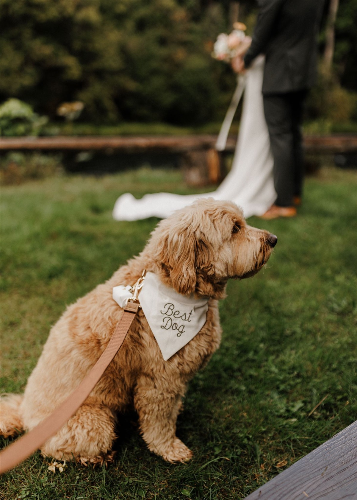 best dog wedding bandana