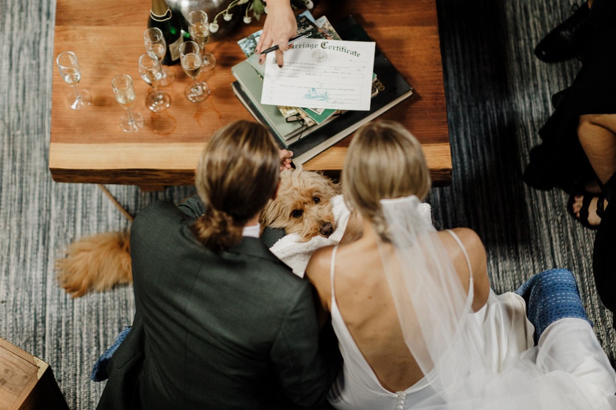 how to involve dogs in a wedding