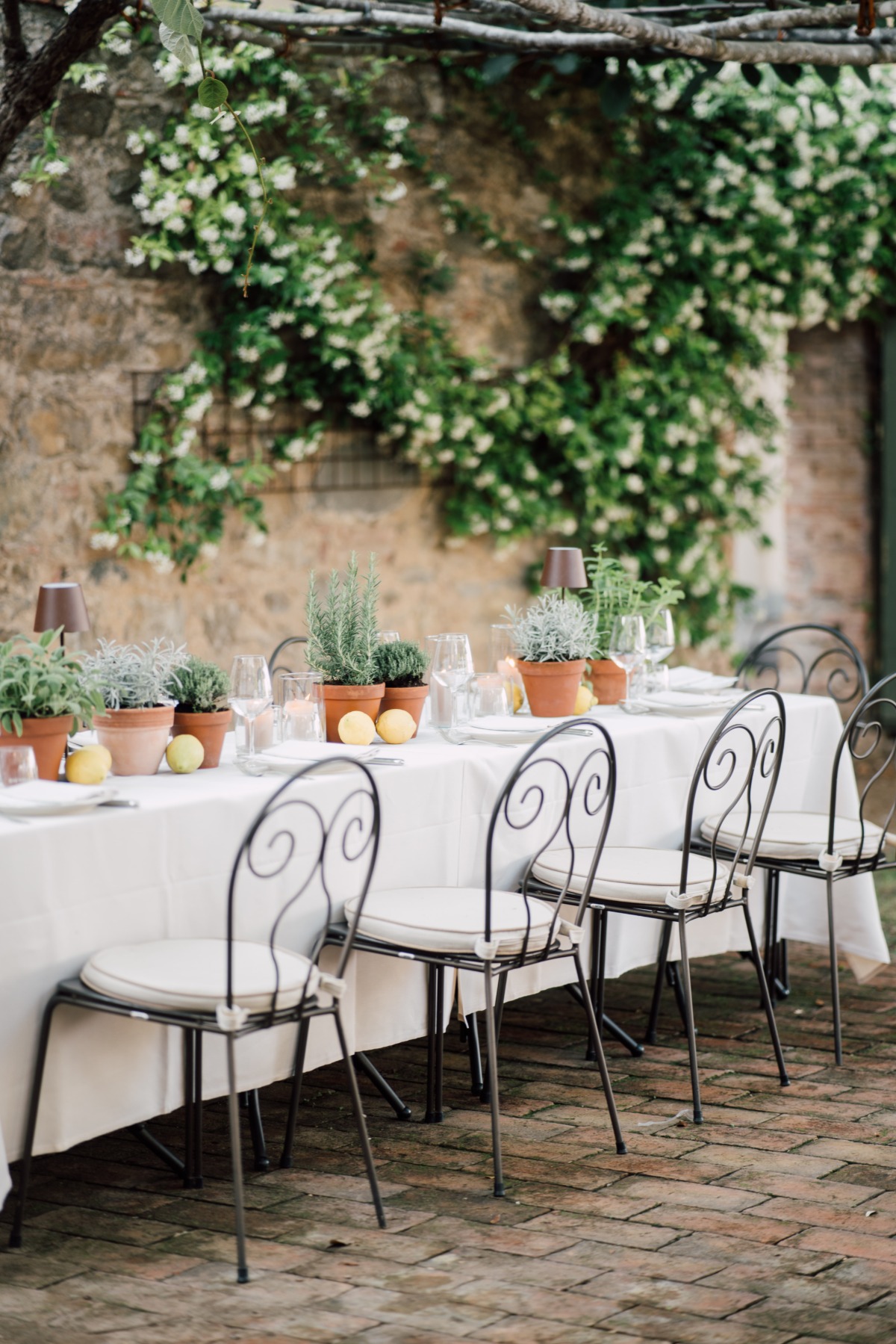 wire back chairs