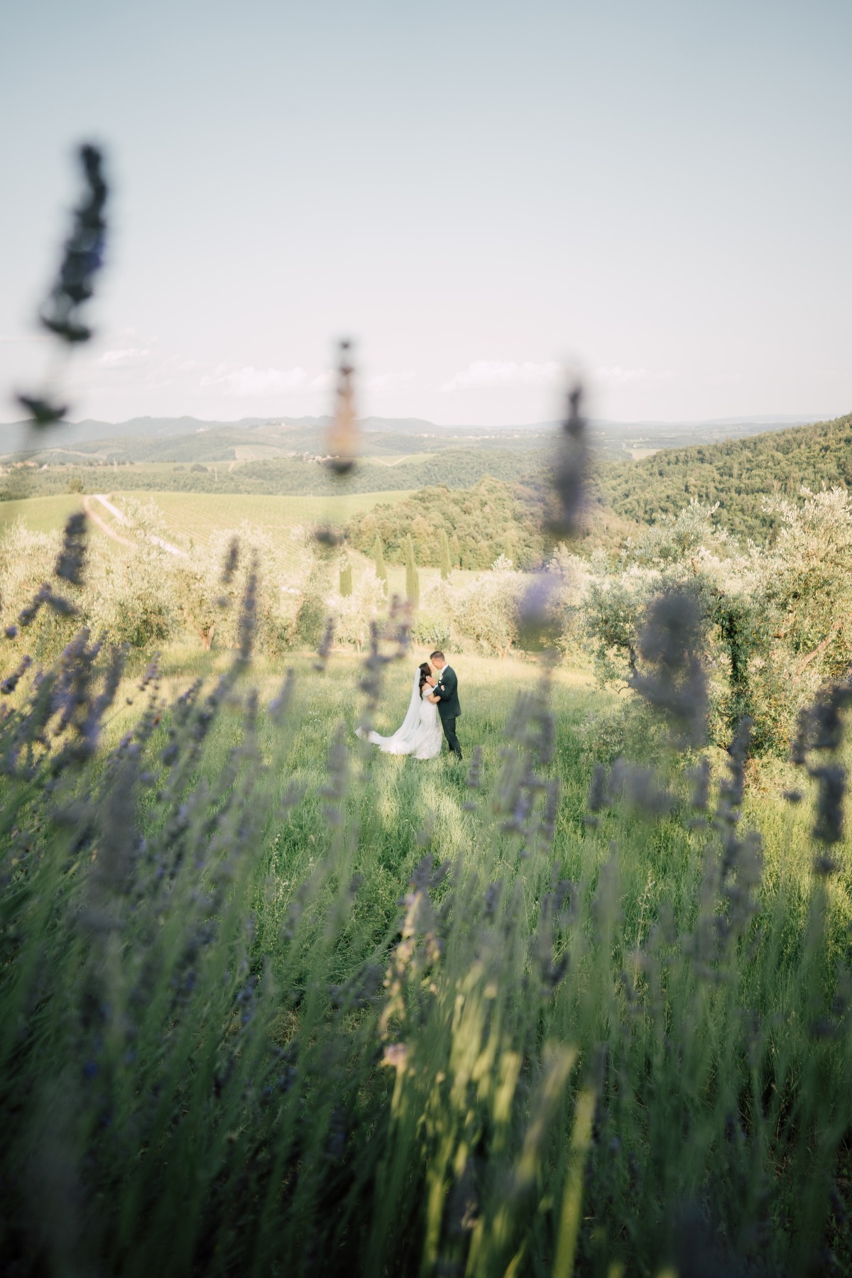 lavender field wedding