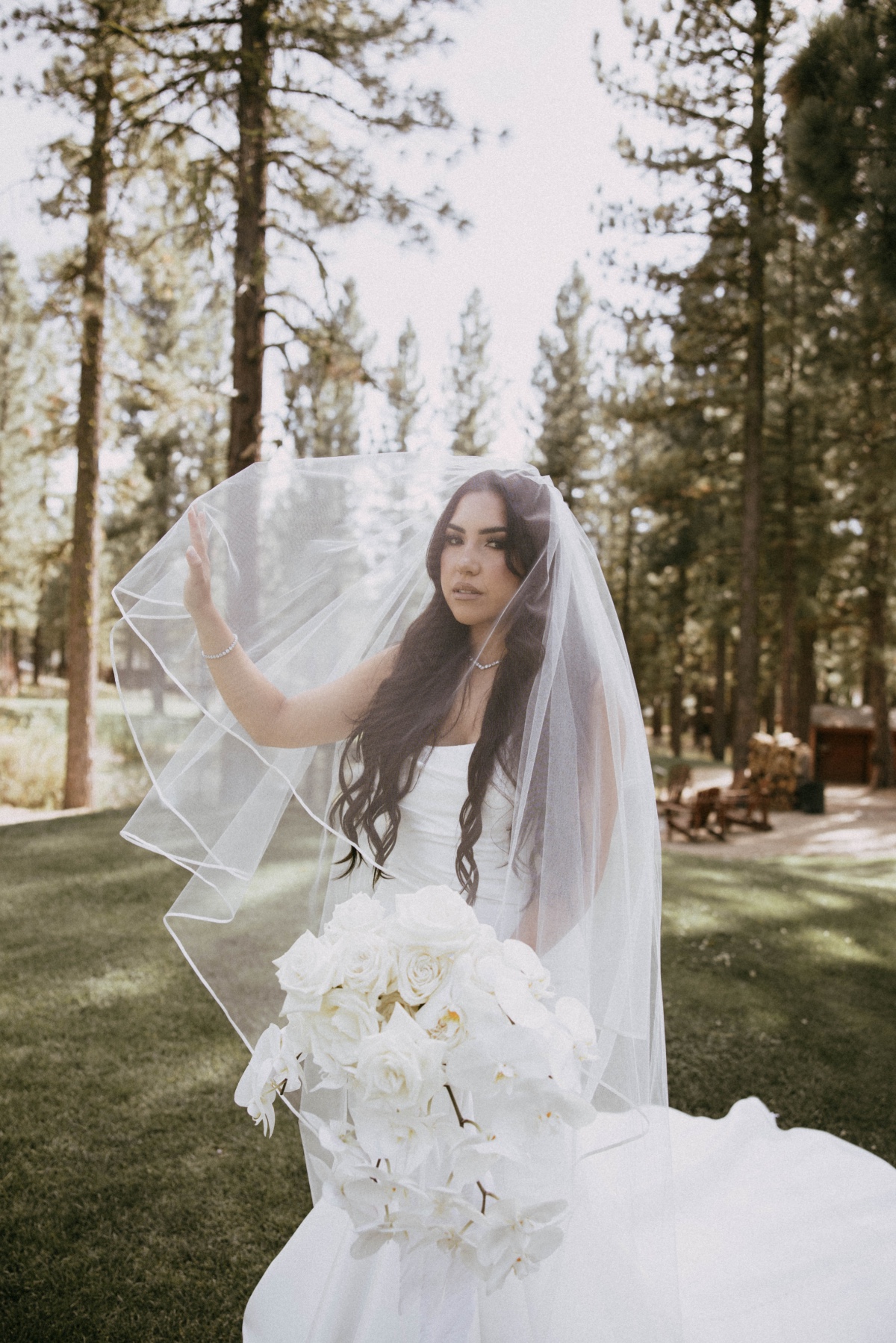 bride in timeless dress and veil in the woods