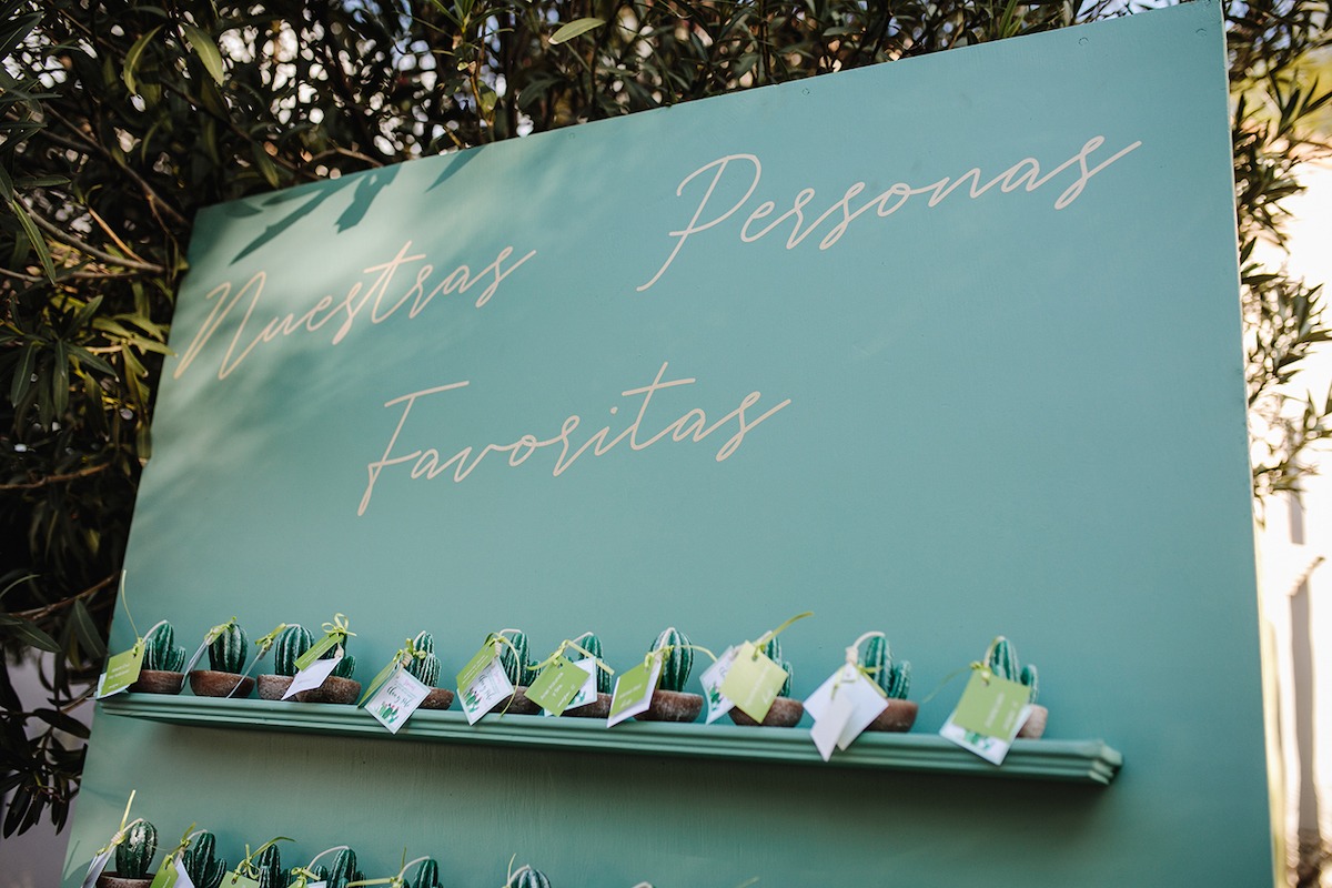 cacti escort card display wall