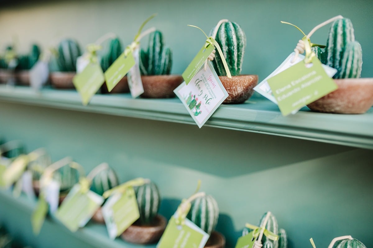 cactus escort card that doubles as favor