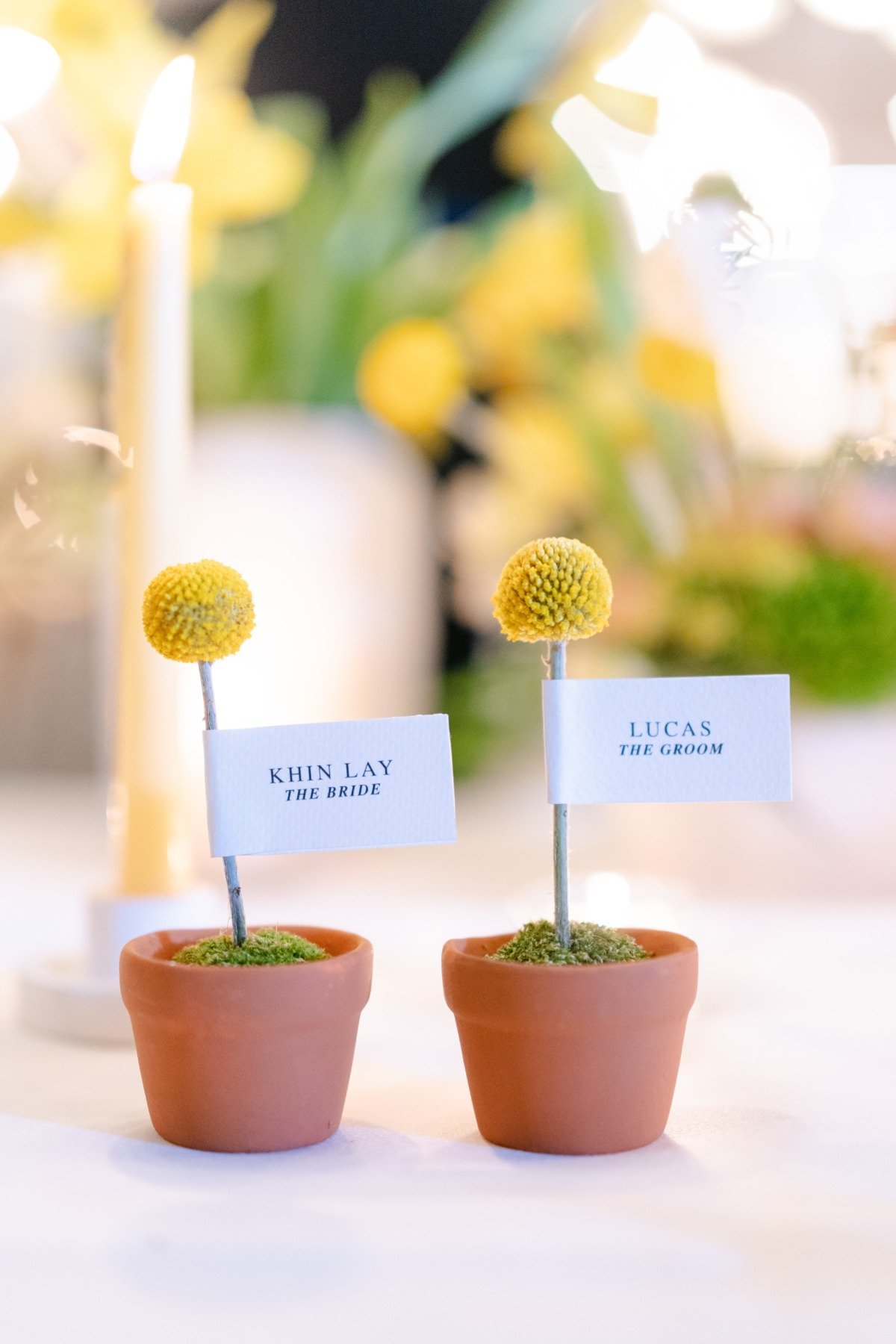 potted flower escort cards