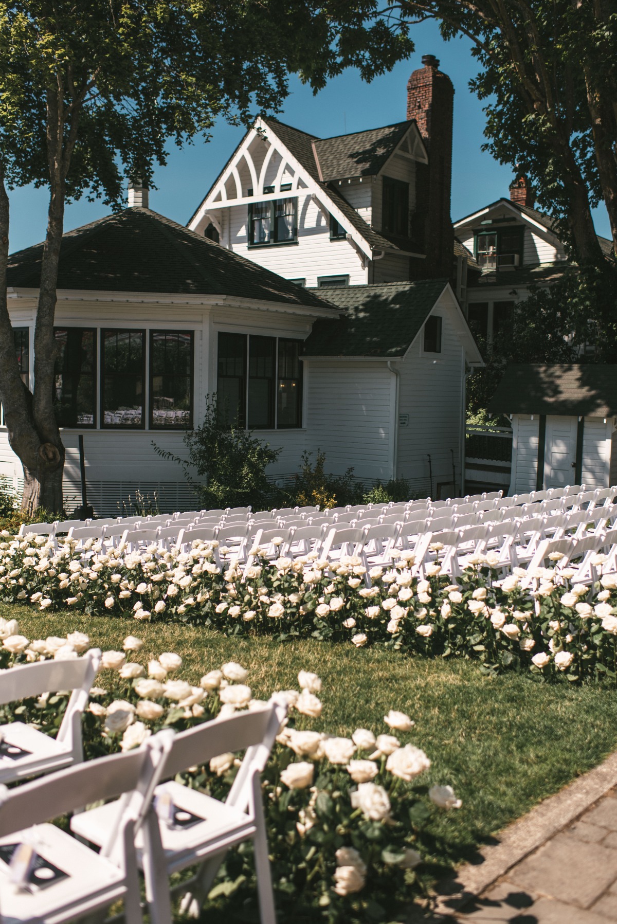 aisle of 1000 white roses