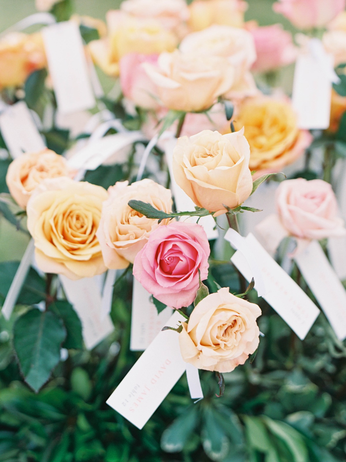 single stem rose seating cards