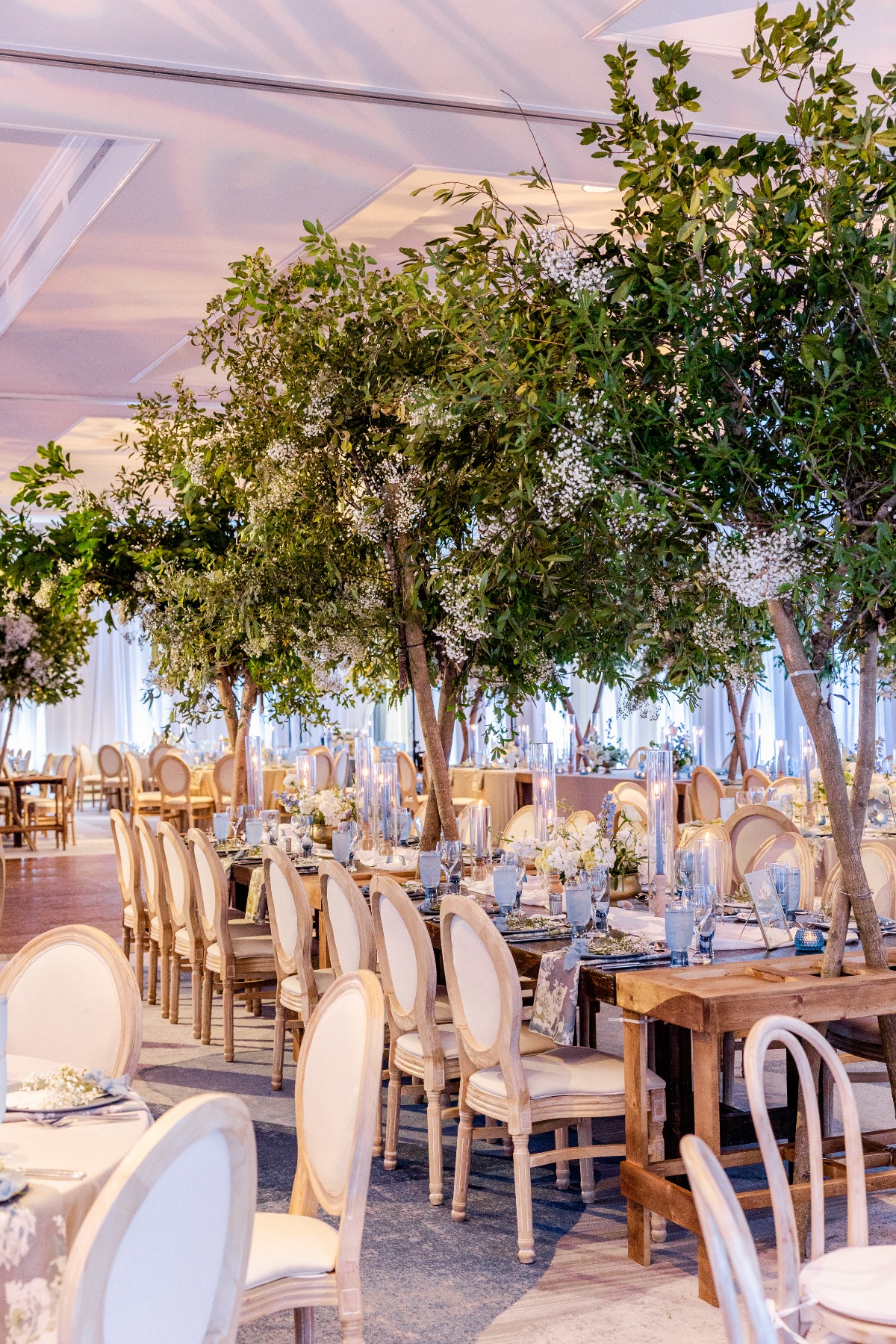 live trees as decorations for wedding indoors