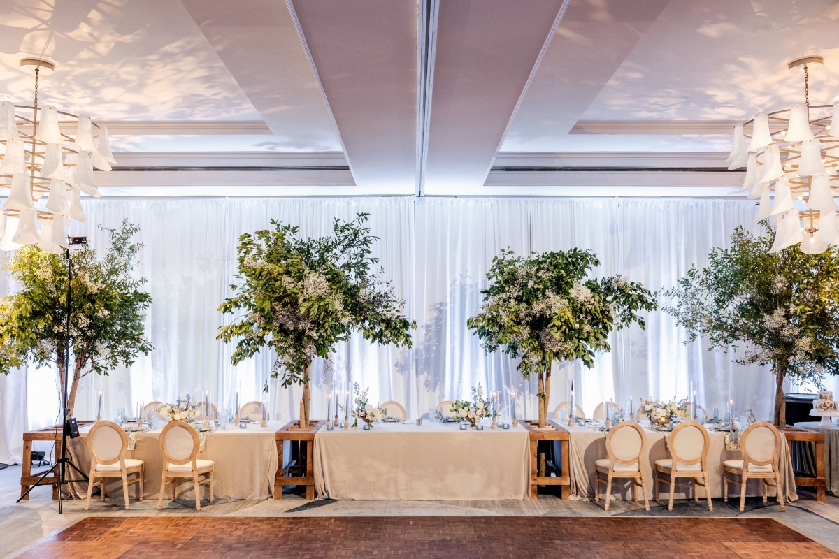 living tree rental for wedding reception