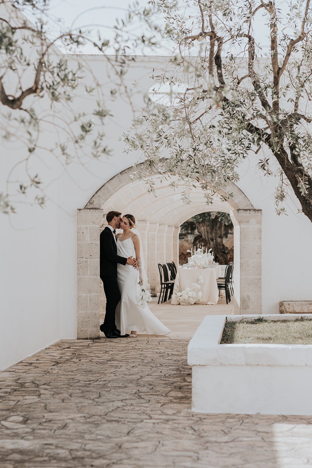 bride and groom kiss under olive tree