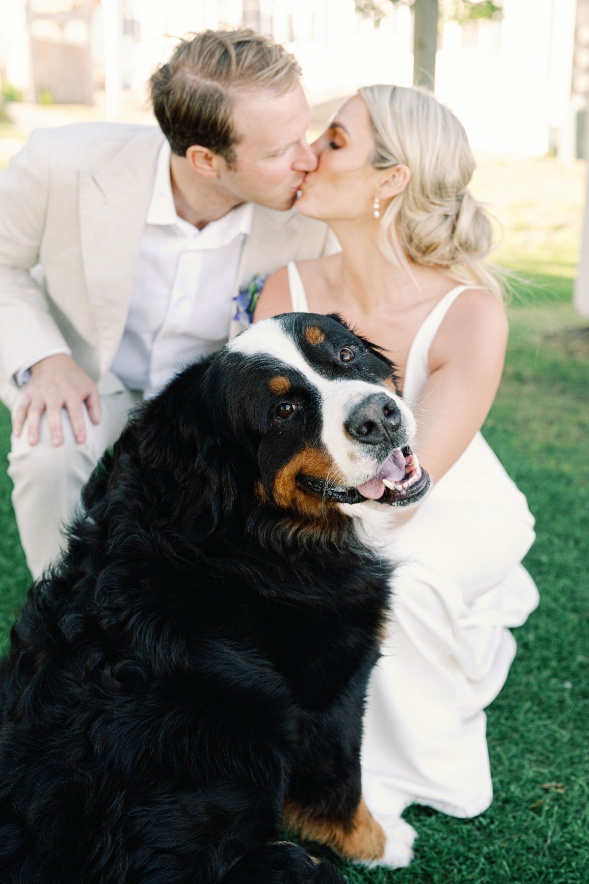 including your dog in the wedding