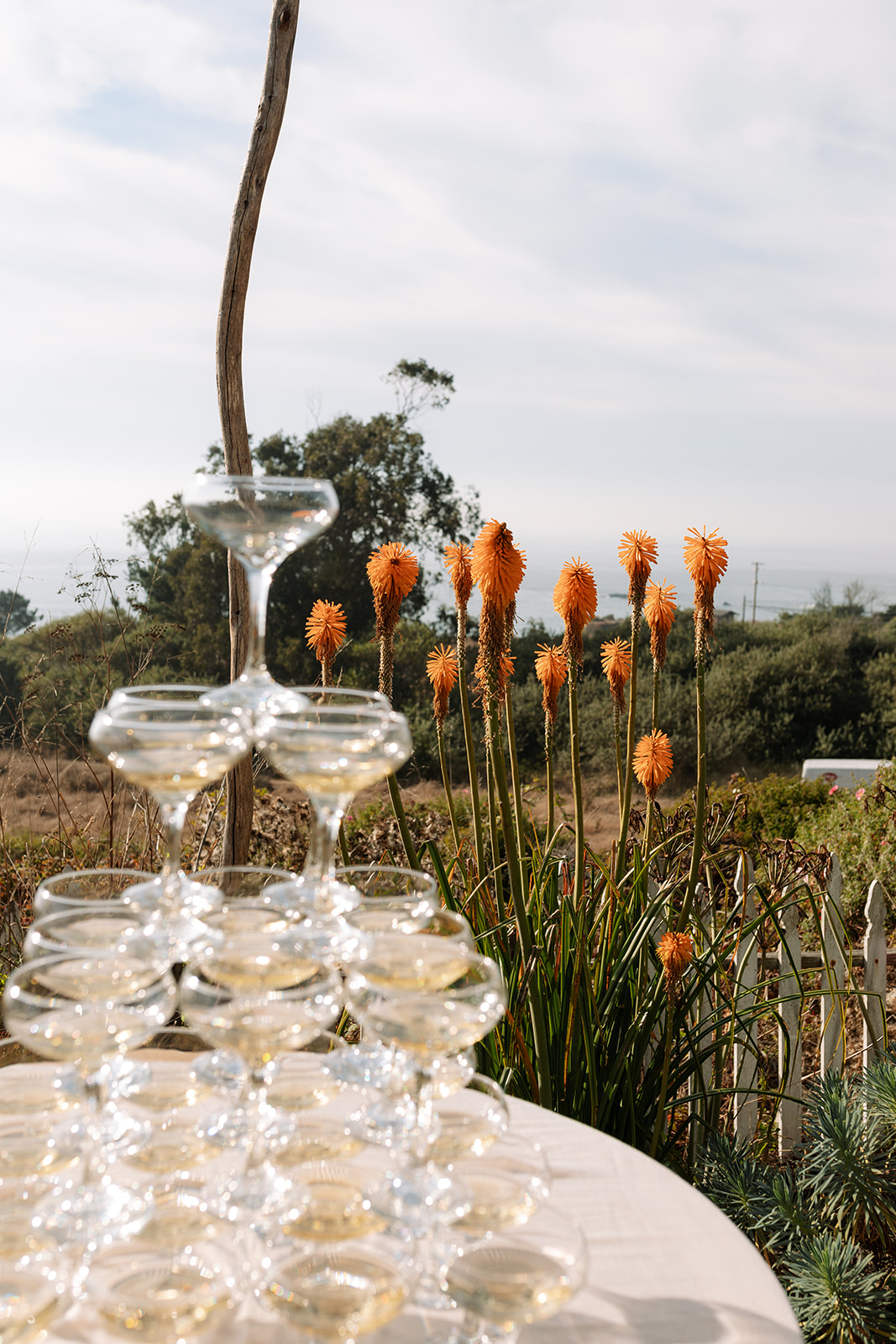 champagne tower at outdoor wedding