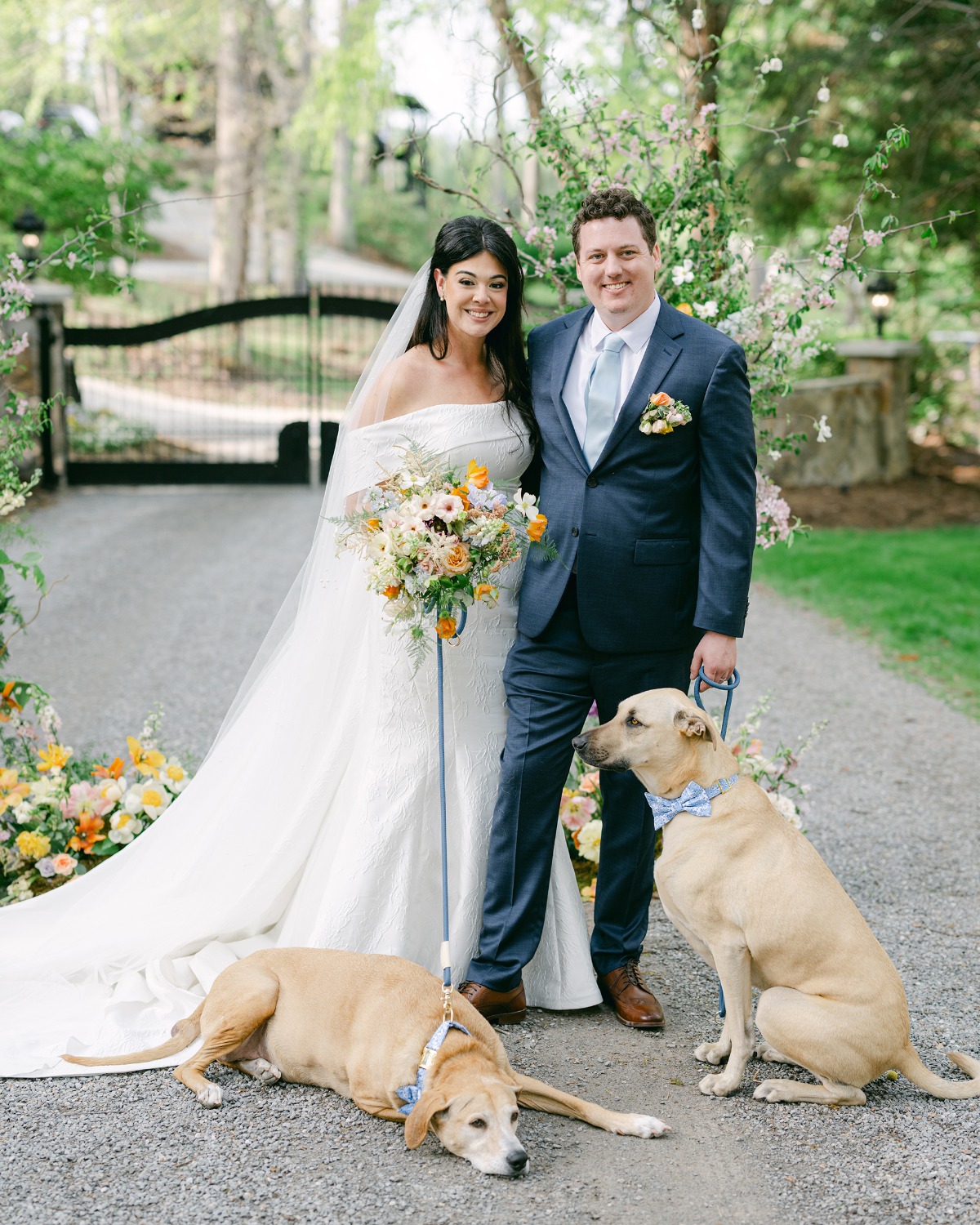 bride and groom with dogs at wedding in bow ties