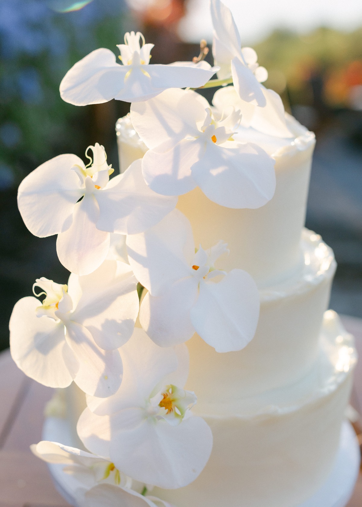 white wedding cake with white orchids