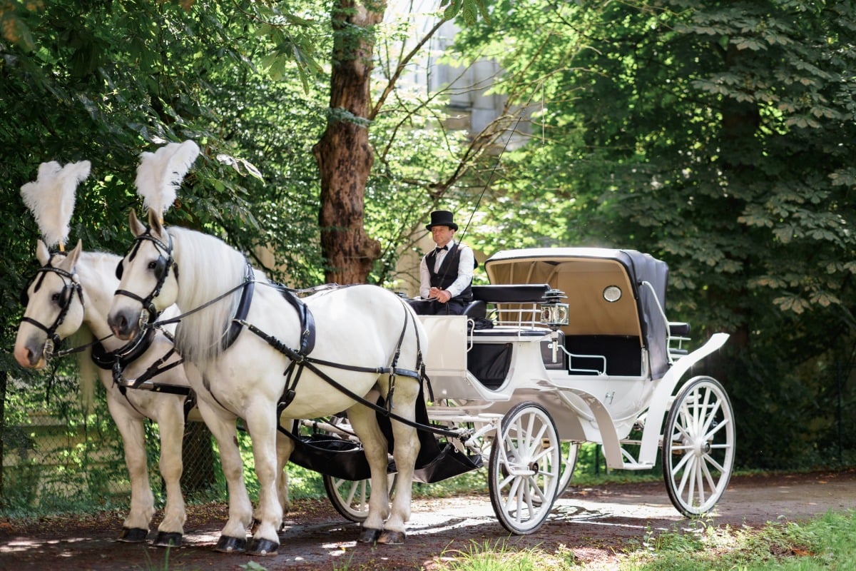 horse drawn carriage for weddings in paris