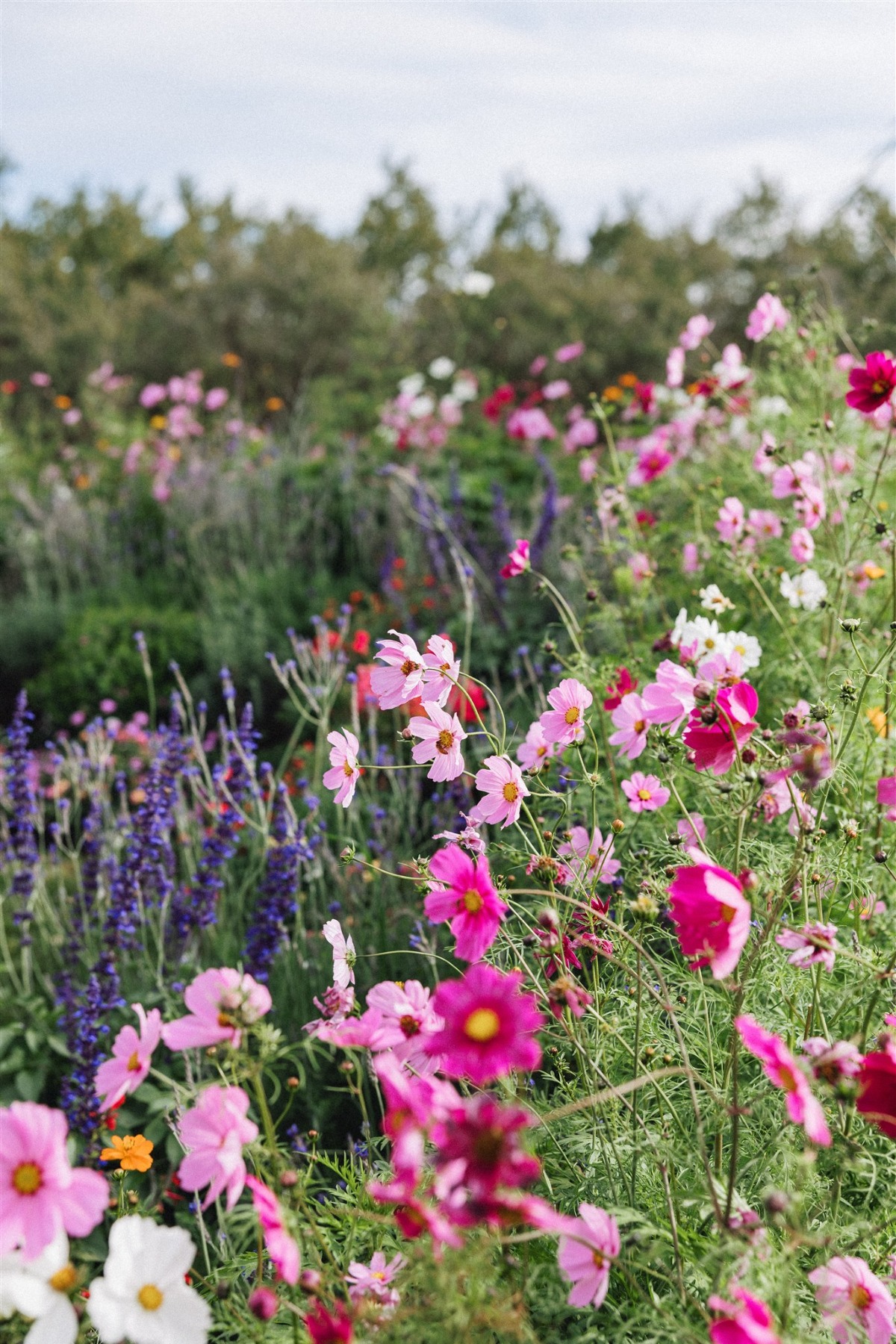 wildflower wedding ideas