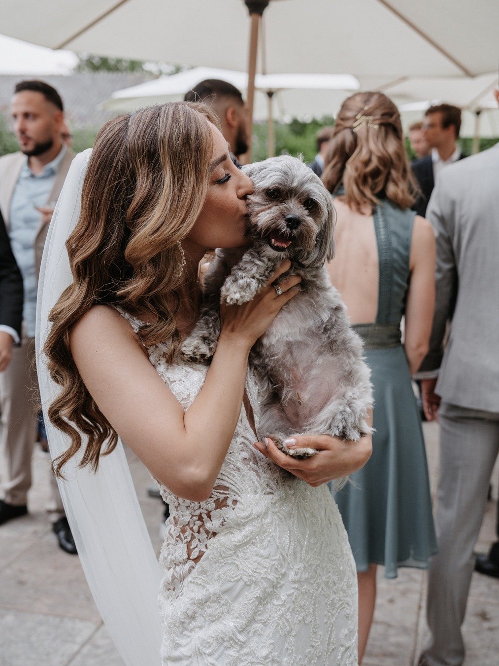 bride with dog at outdoor wedding