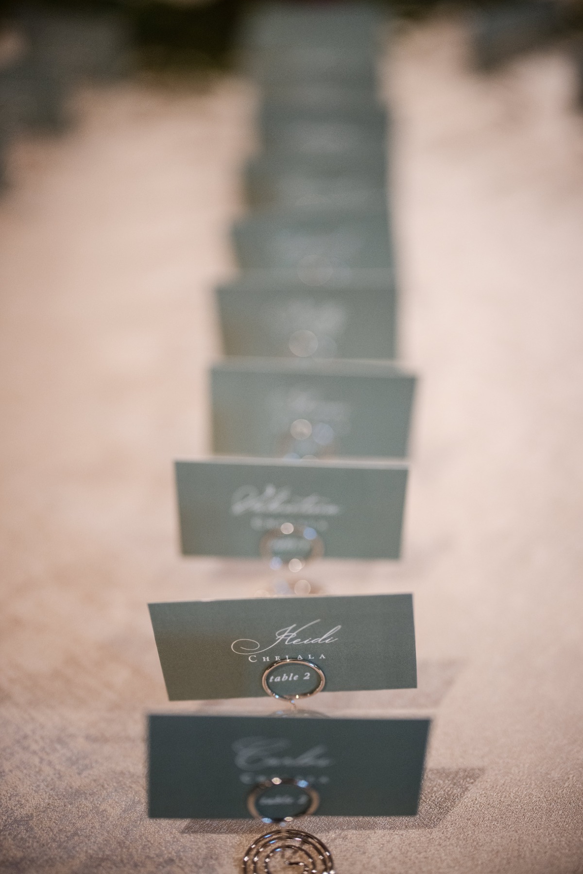 sage green seating cards