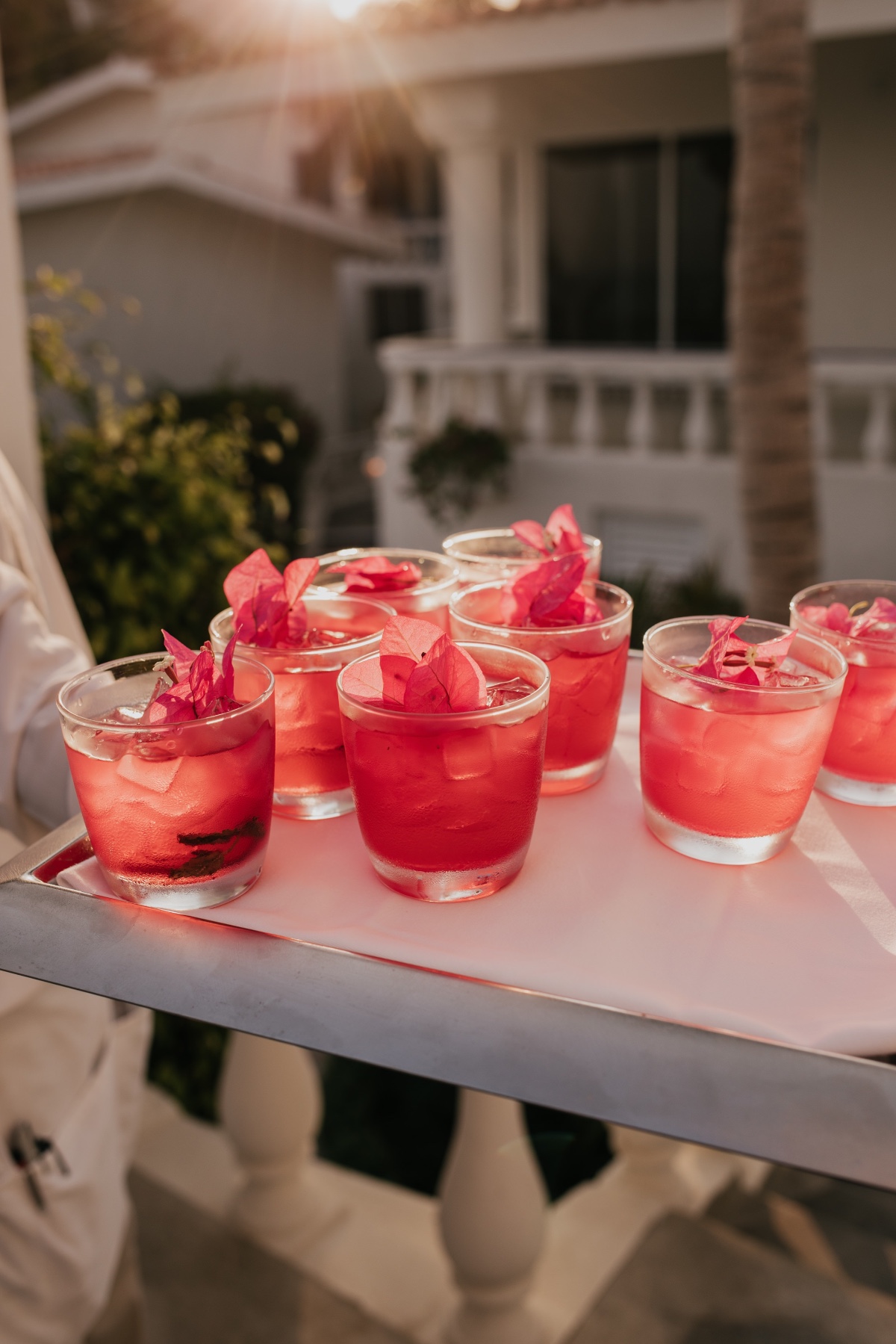 bougainvillea cocktail for greek inspired wedding