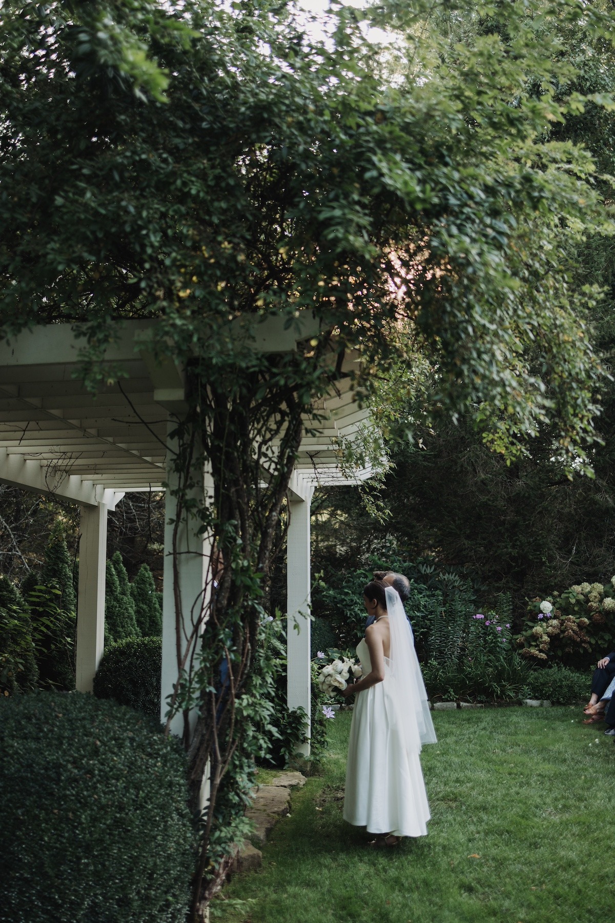 arbor covered in greenery