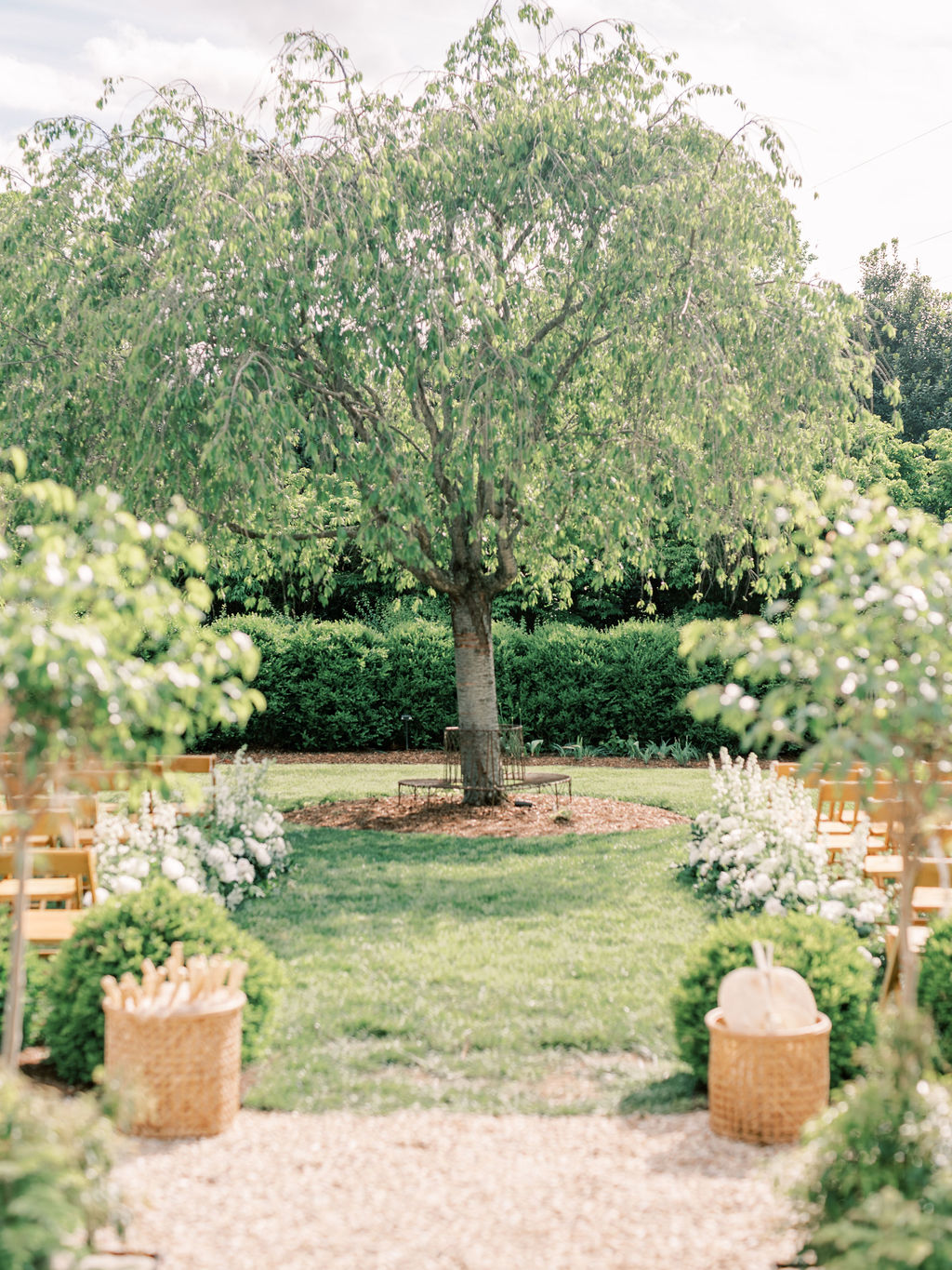 outdoor wedding ceremony with tree centerpiece