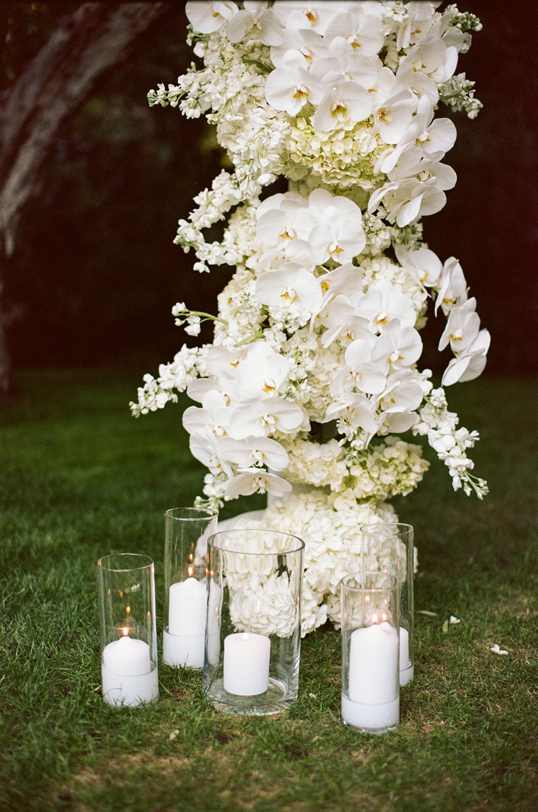 orchid and hydrangea wedding flowers