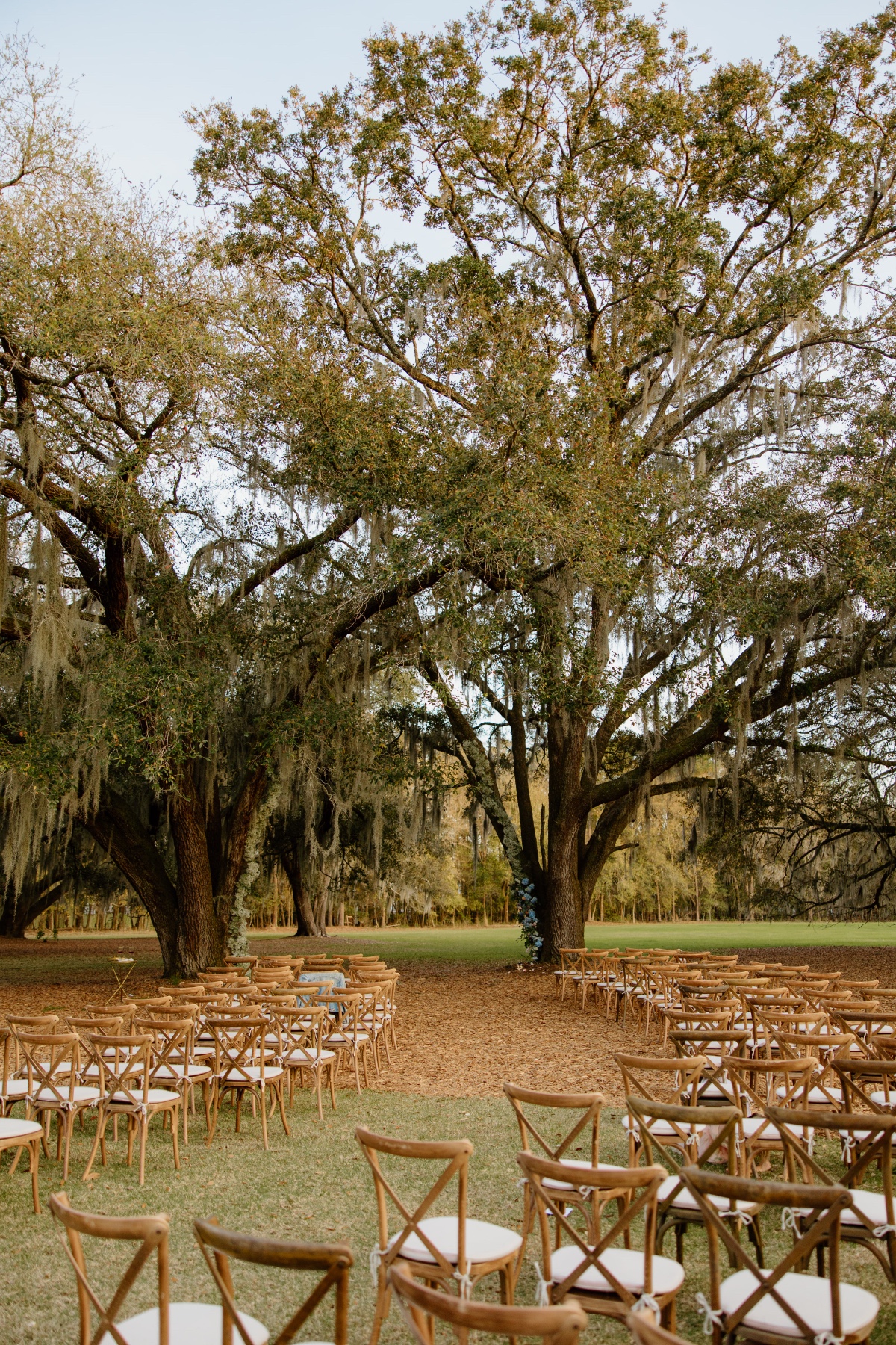 wood inspired ceremony