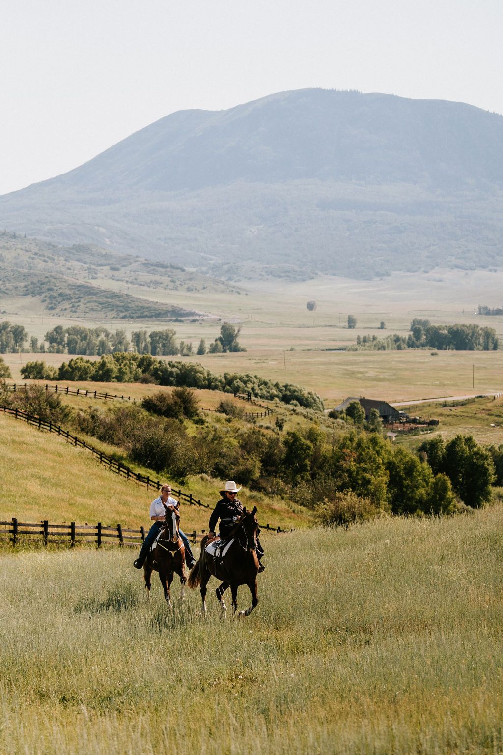 horses at wedding in mountains