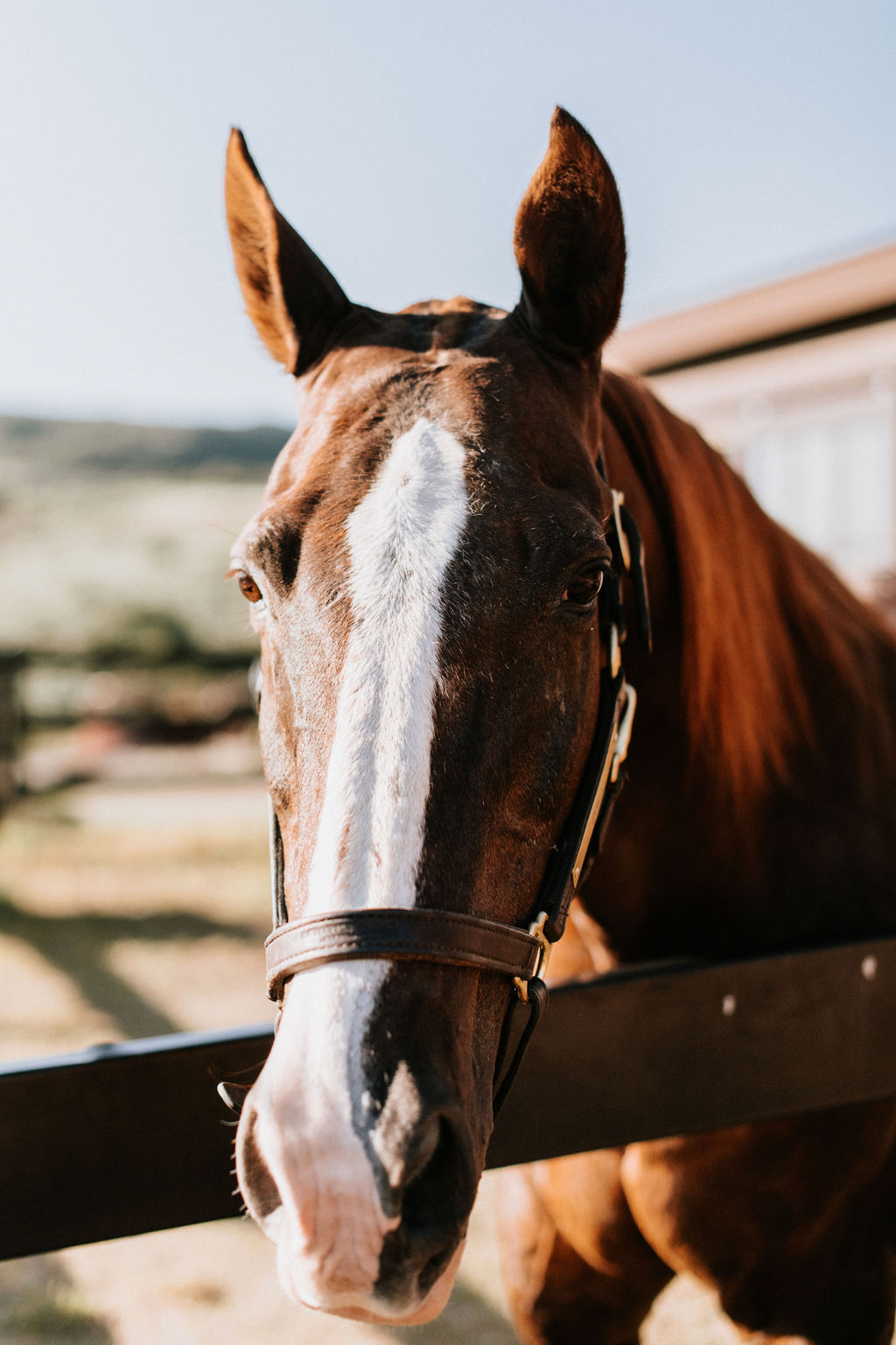 western inspired wedding ideas