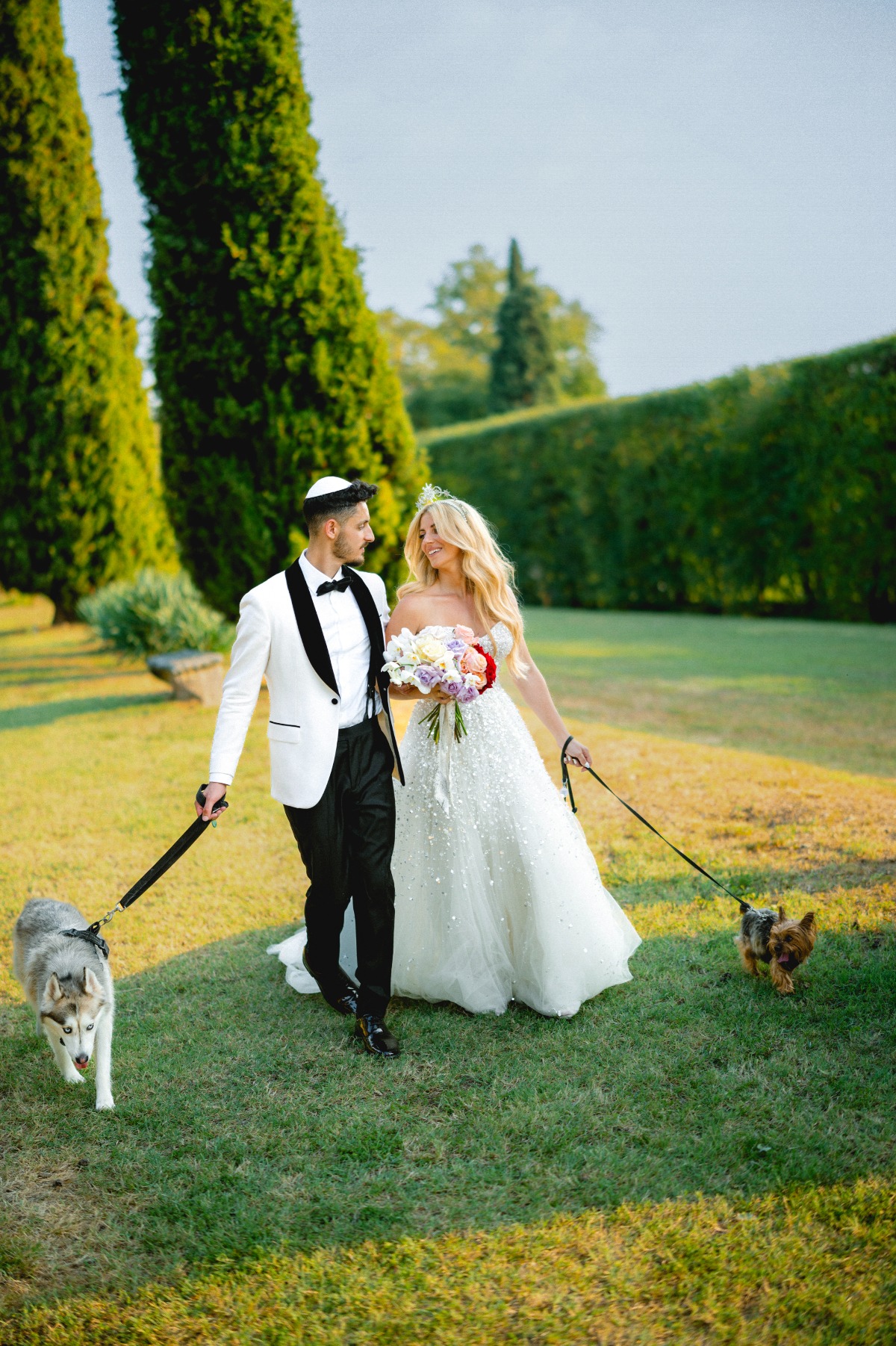 dogs at wedding