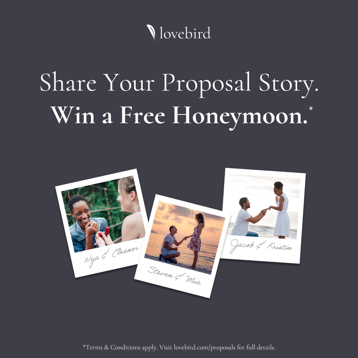 Proposal Story contest for lovebird